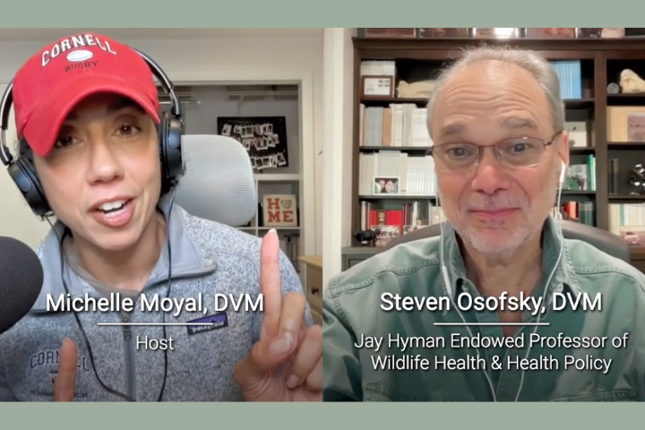 Dr. Steve Osofsky on the podcast with Dr. Michelle Moyal