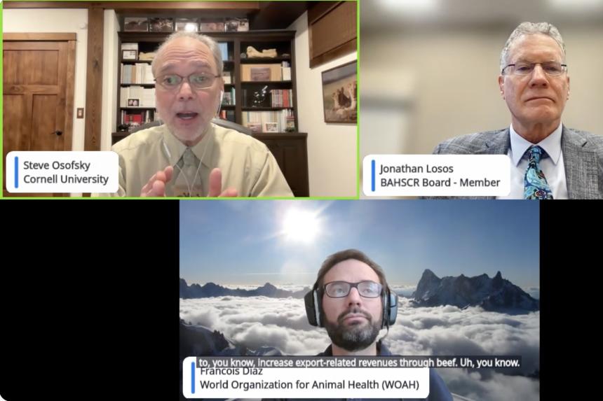 Steve Osofsky speaks as a panelist on Zoom